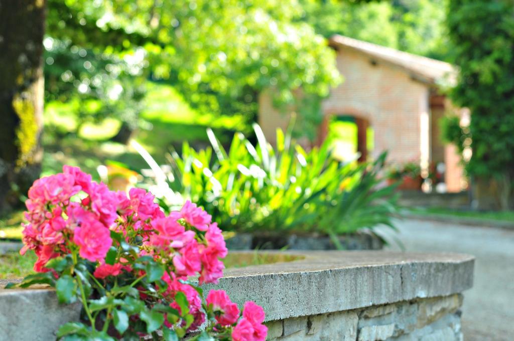 Agriturismo Popolano Di Sotto Marradi Buitenkant foto