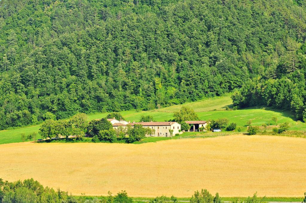 Agriturismo Popolano Di Sotto Marradi Buitenkant foto