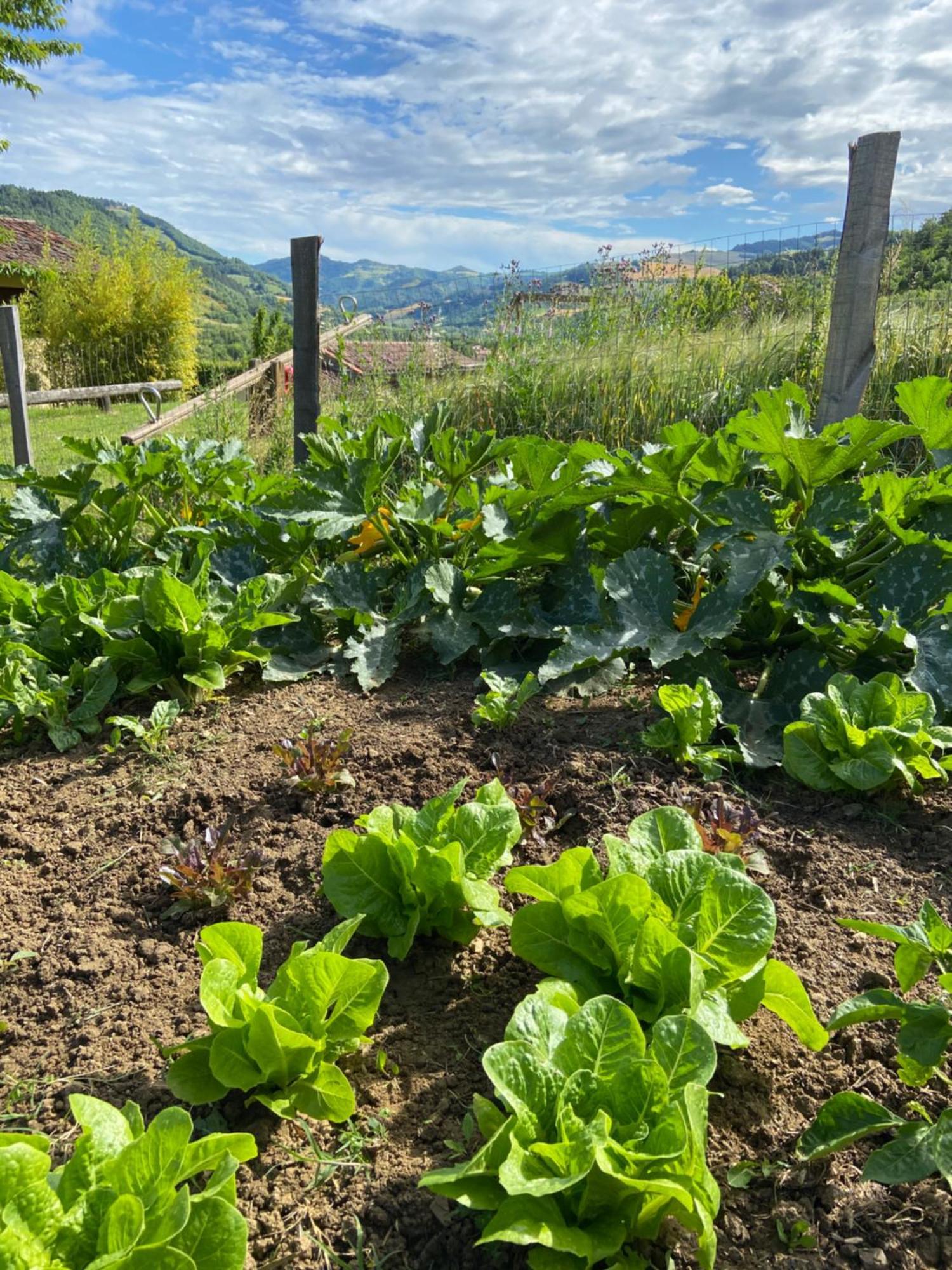 Agriturismo Popolano Di Sotto Marradi Buitenkant foto