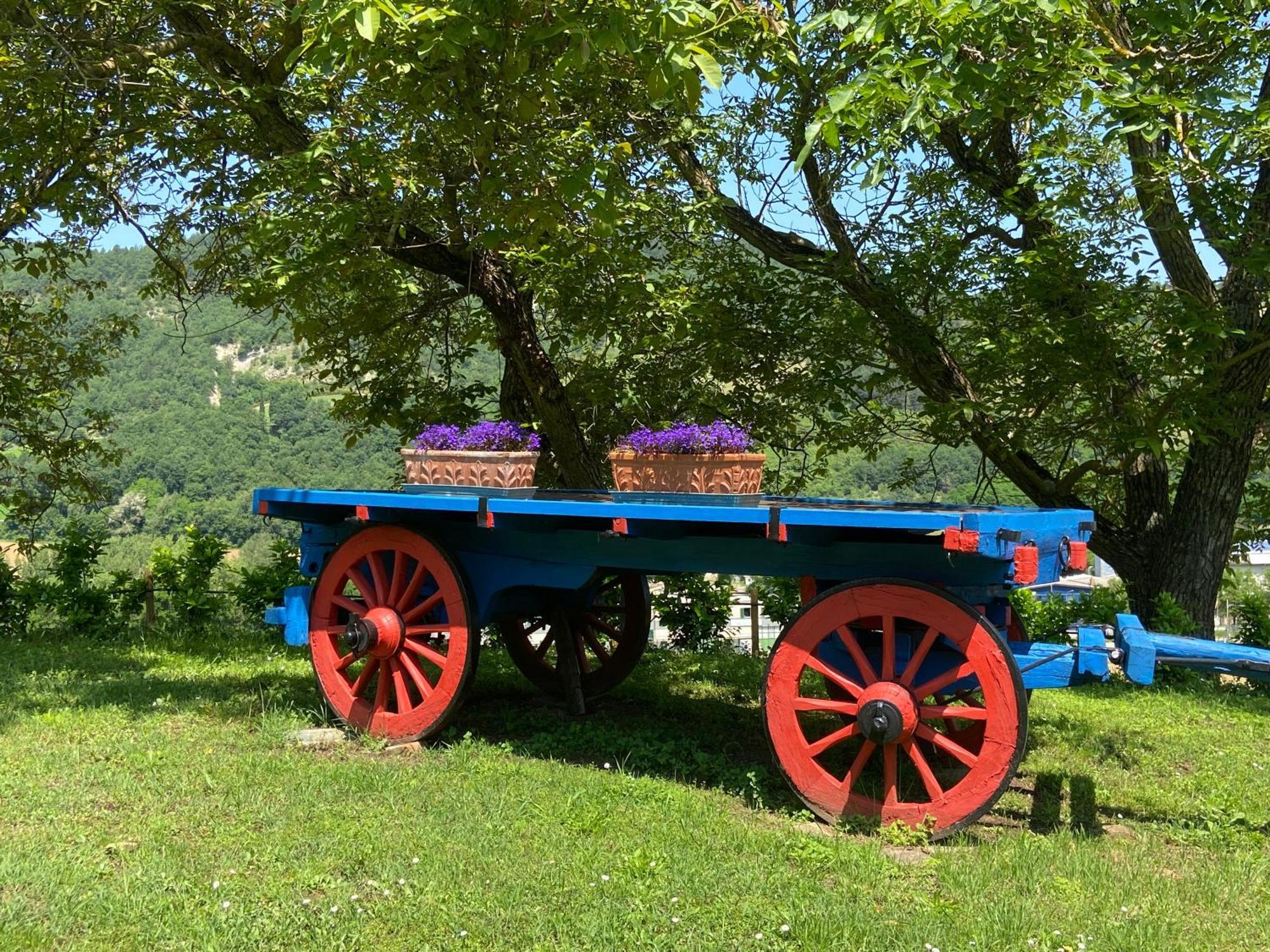 Agriturismo Popolano Di Sotto Marradi Buitenkant foto