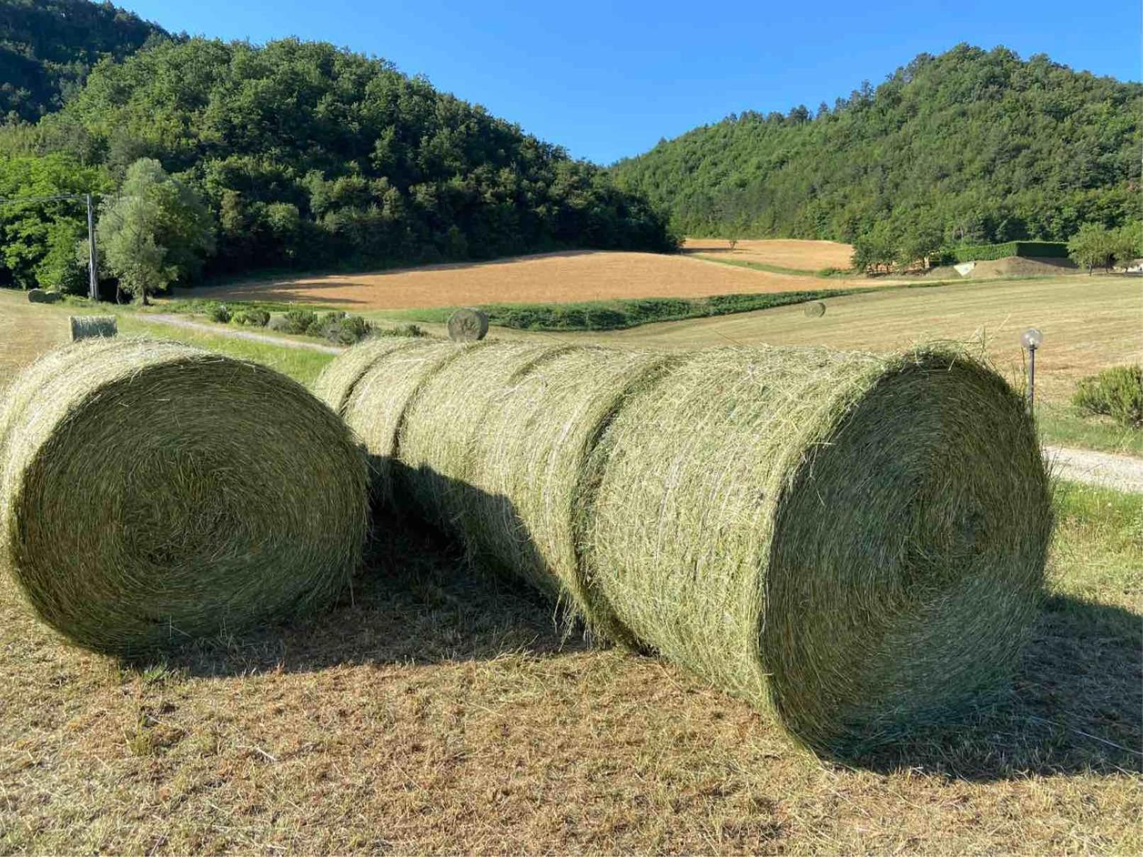 Agriturismo Popolano Di Sotto Marradi Buitenkant foto