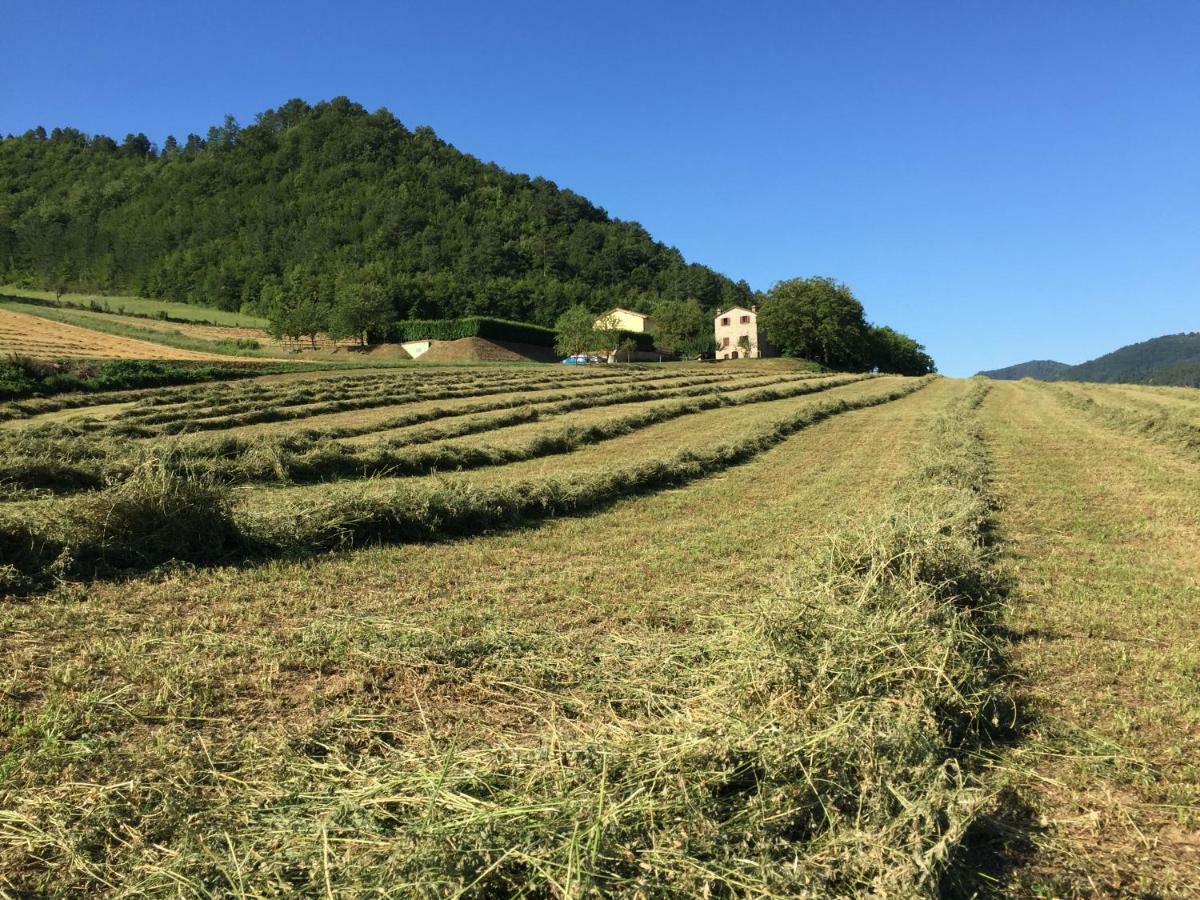 Agriturismo Popolano Di Sotto Marradi Buitenkant foto